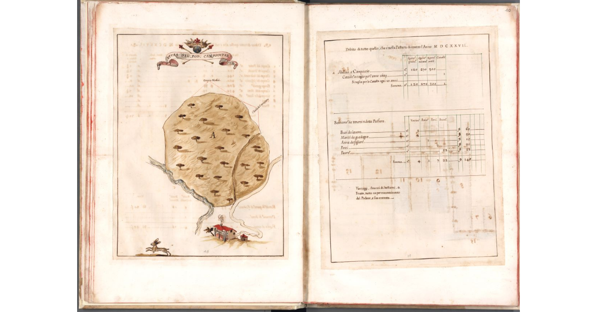 Pastura del podere Campoditardi