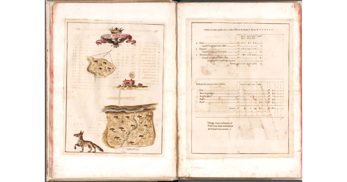 Pastura del podere Pergola