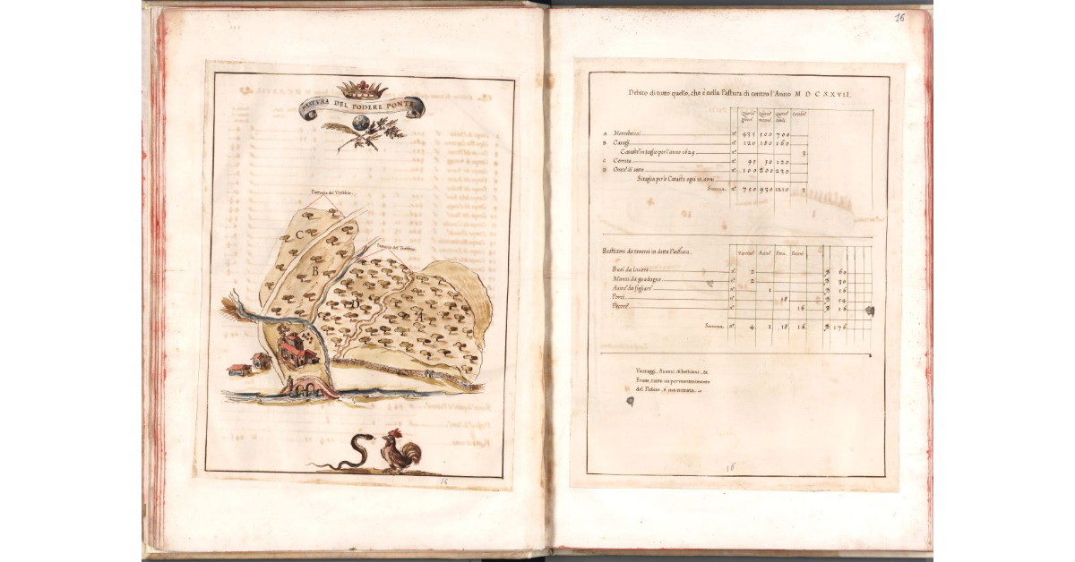 Pastura del podere Ponte