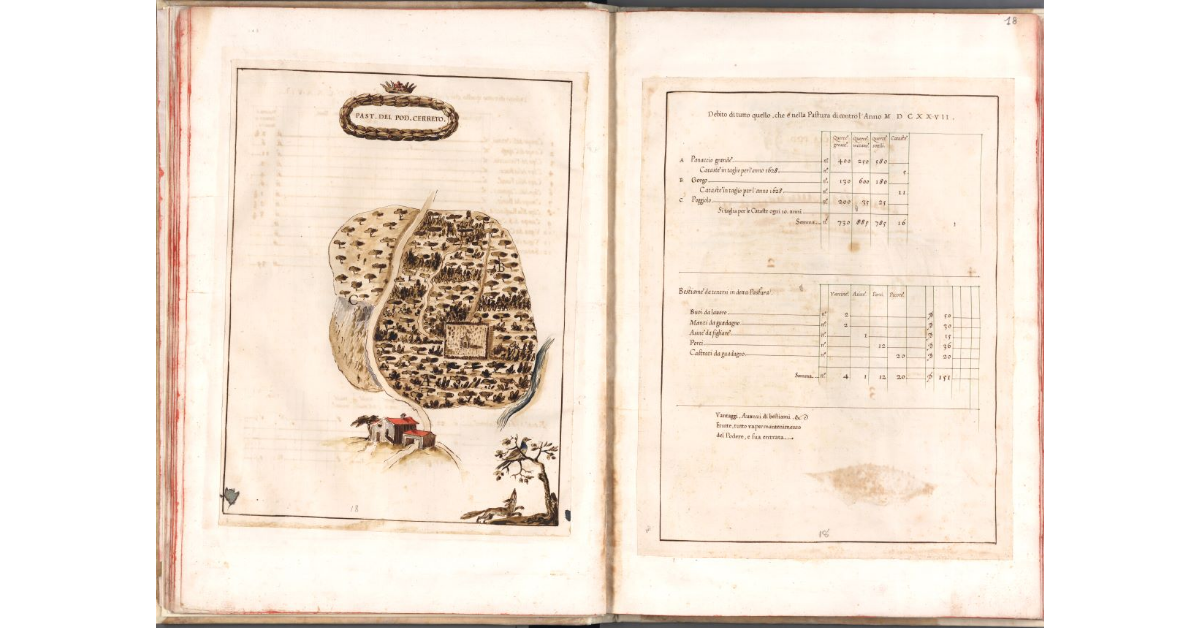 Pastura del podere Cerreto