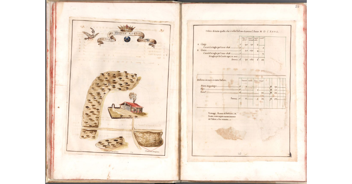 Pastura del podere Rugliaccia