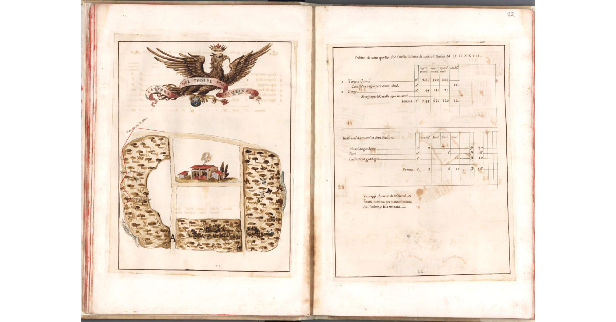 Pastura del podere Poggiolino