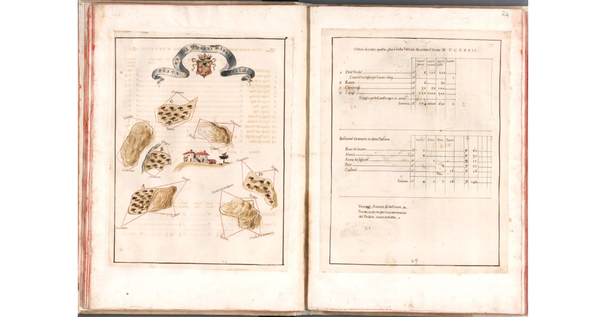 Pasture del podere Gabbianello