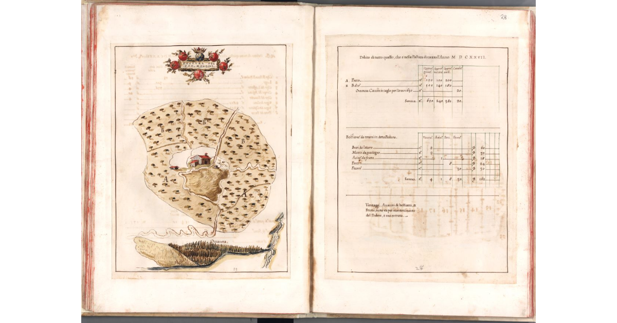 Pastura del podere Monzone