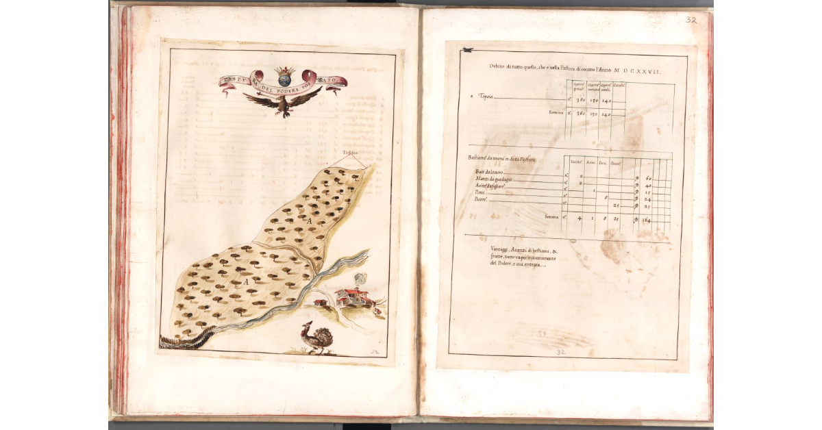 Pastura del podere Fossato