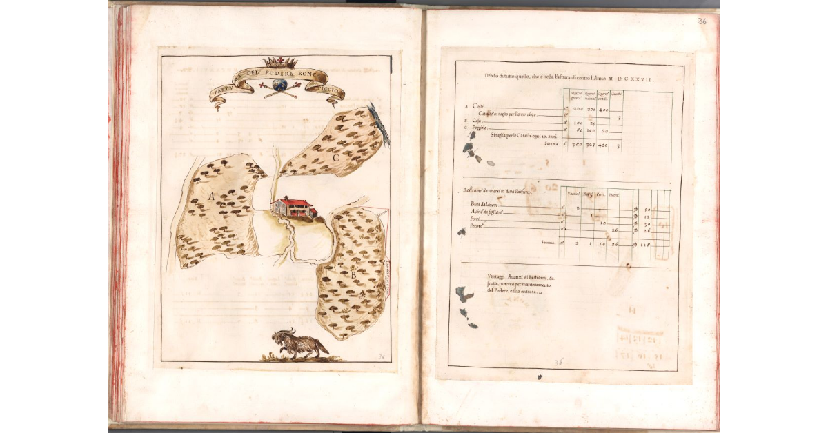 Pastura del podere Roncaticcio