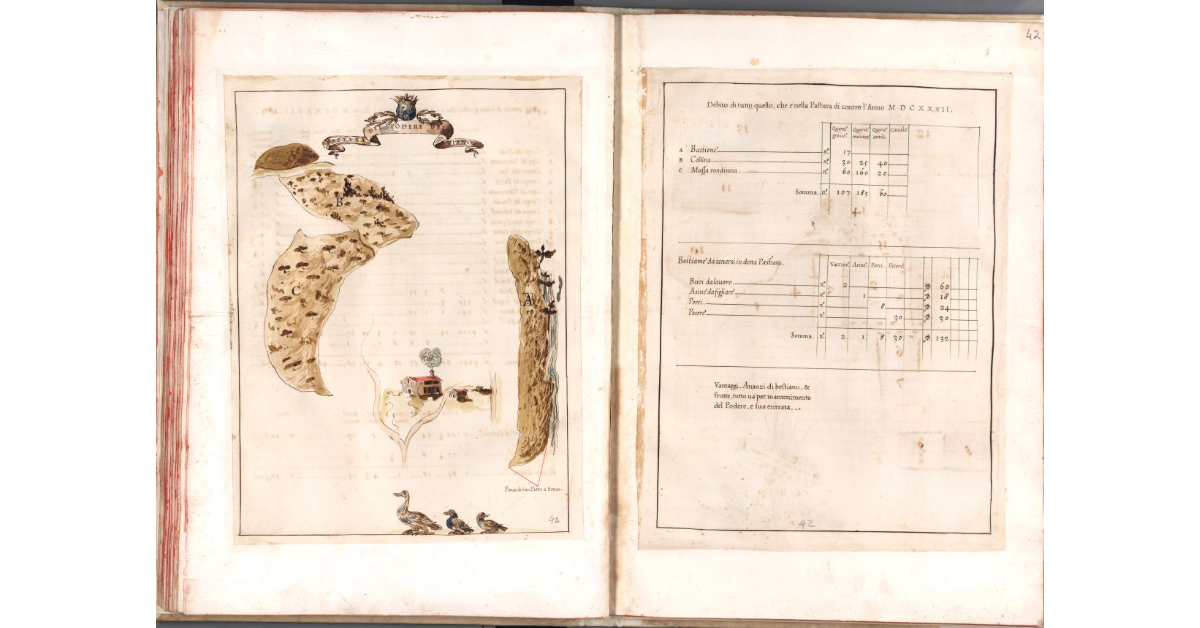 Pastura del podere del Piano