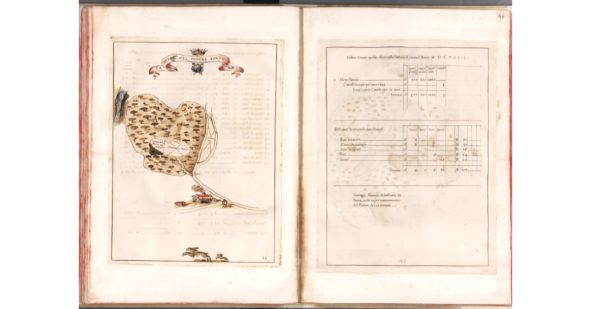 Pastura del podere Fortuna