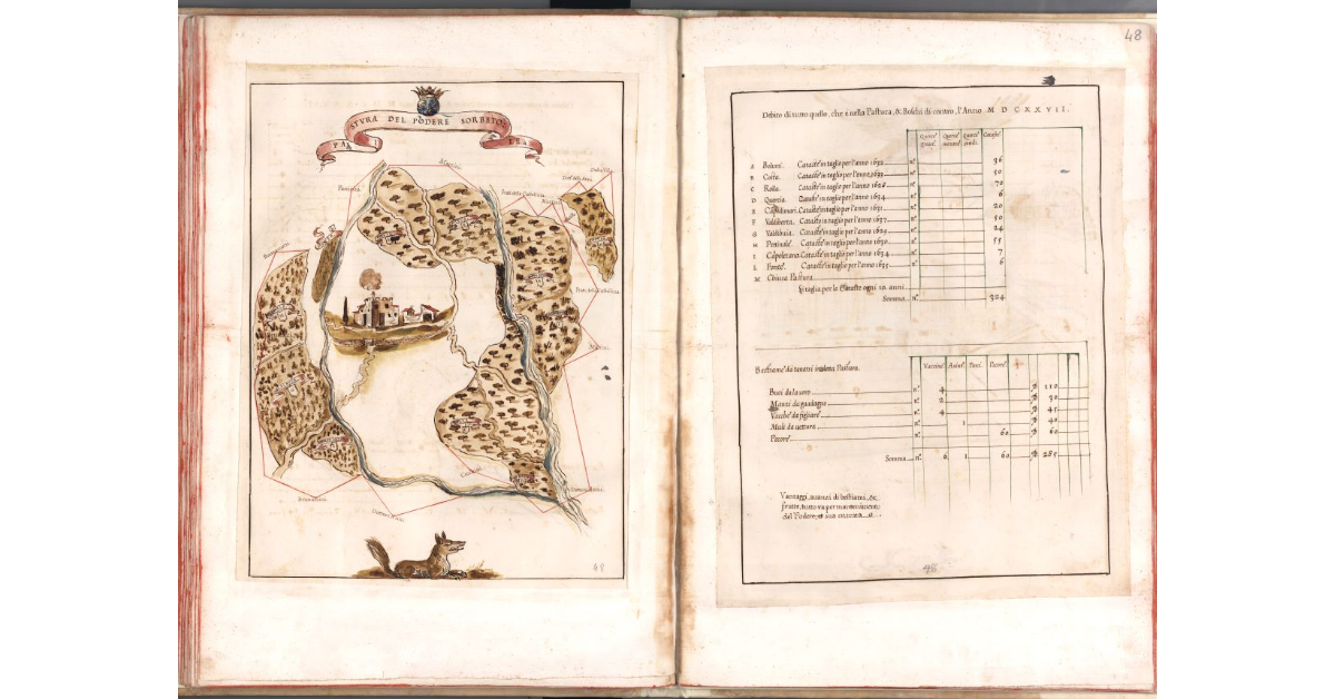 Pastura del podere Sorbetole