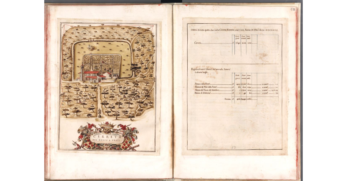 Cerreta del Bosco a Frati