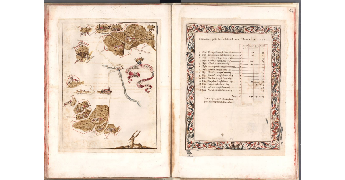 Pianta et ristretto di boschi di quercioli da cataste