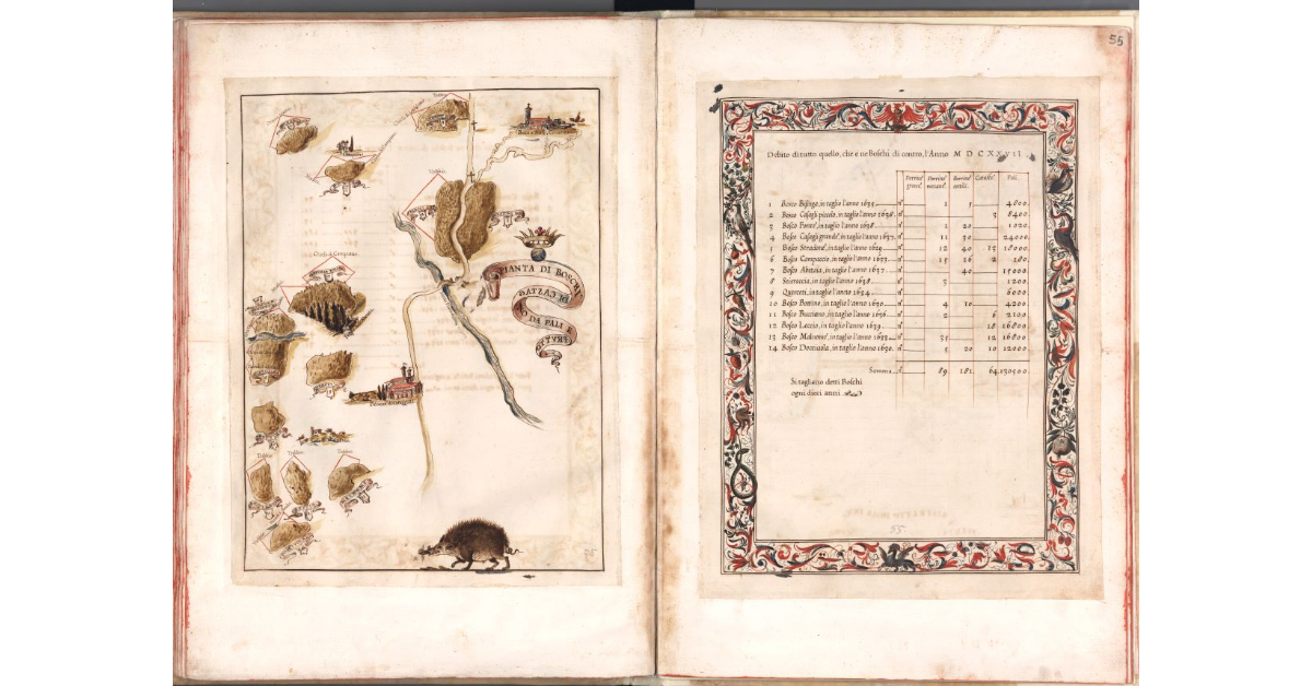 Pianta di boschi di castagno da pali e frutto