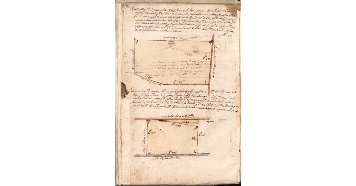 [Piante dei terreni assegnati alla Badia de’ Magi nel piano di Bibbona]