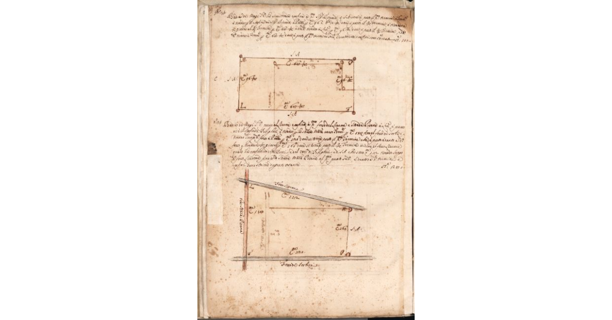 [Piante dei terreni assegnati alla Badia de’ Magi nel piano di Bibbona]