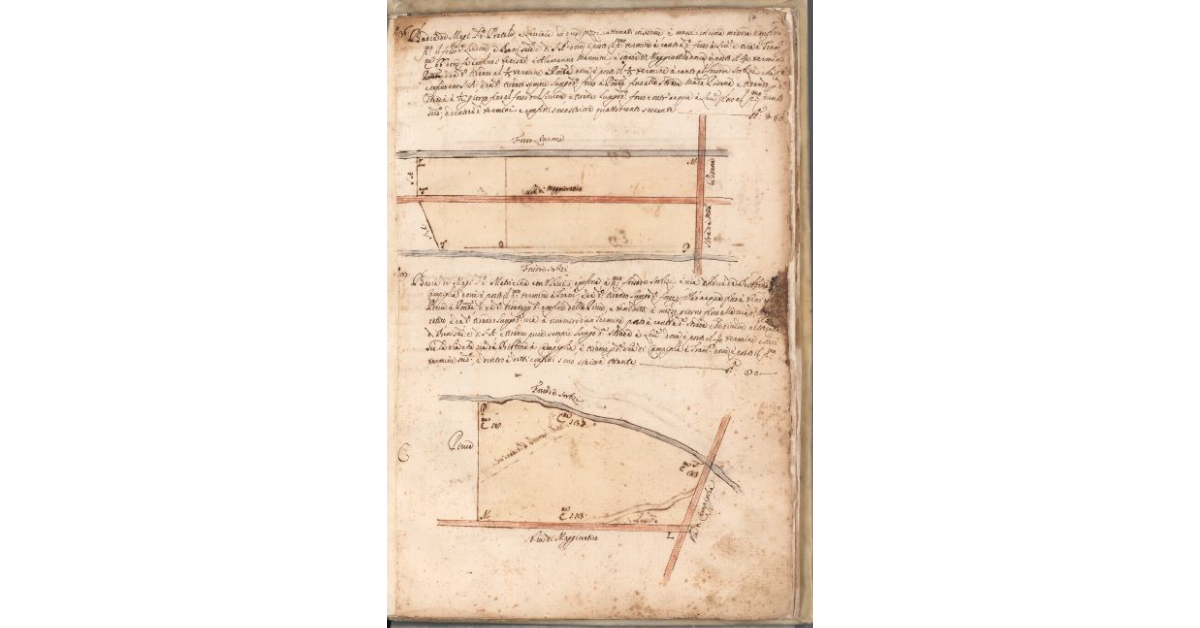 [Piante dei terreni assegnati alla Badia de’ Magi nel piano di Bibbona]