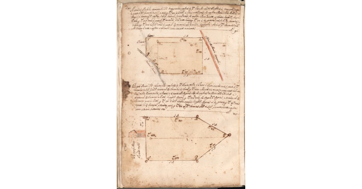 [Piante dei terreni assegnati a Matteo Carnesecchi nel piano di Bibbona]