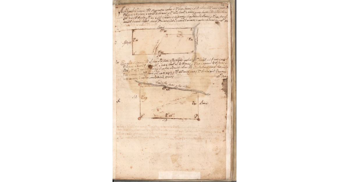 [Piante dei terreni assegnati a Michelagnolo Pieraccini e all’Ospedale di S. Leonardo nel piano di Bibbona]