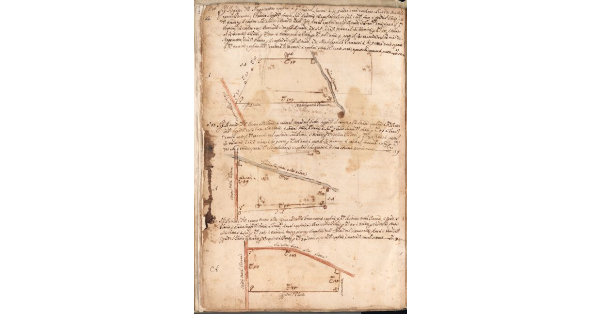 [Piante dei terreni assegnati ai sig.ri Riccardi nel piano di Bibbona]