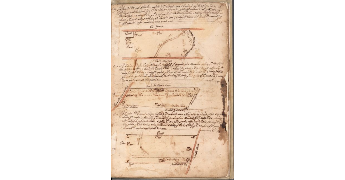 [Piante dei terreni assegnati ai sig.ri Riccardi nel piano di Bibbona]