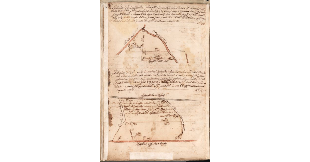 [Piante dei terreni assegnati ai sig.ri Riccardi nel piano di Bibbona]