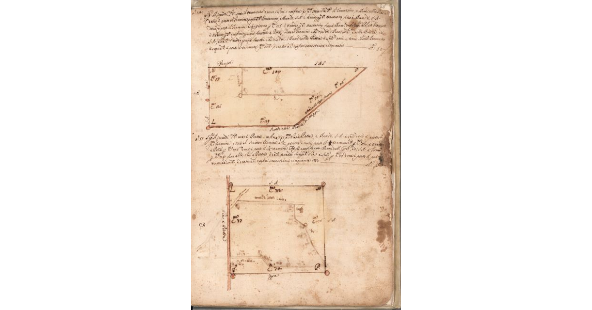 [Piante dei terreni assegnati ai sig.ri Riccardi nel piano di Bibbona]