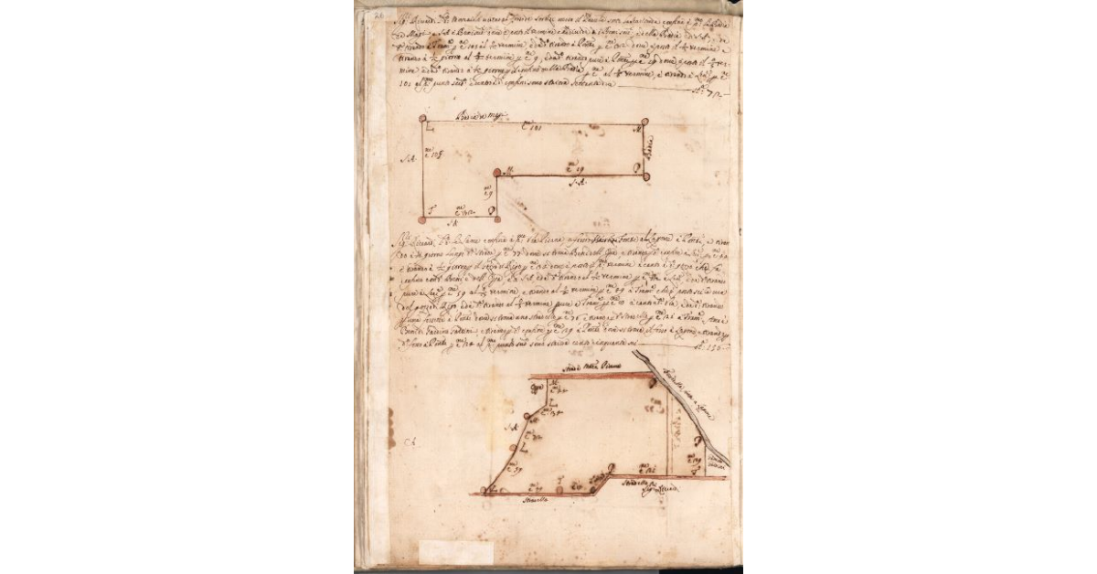 [Piante dei terreni assegnati ai sig.ri Riccardi nel piano di Bibbona]