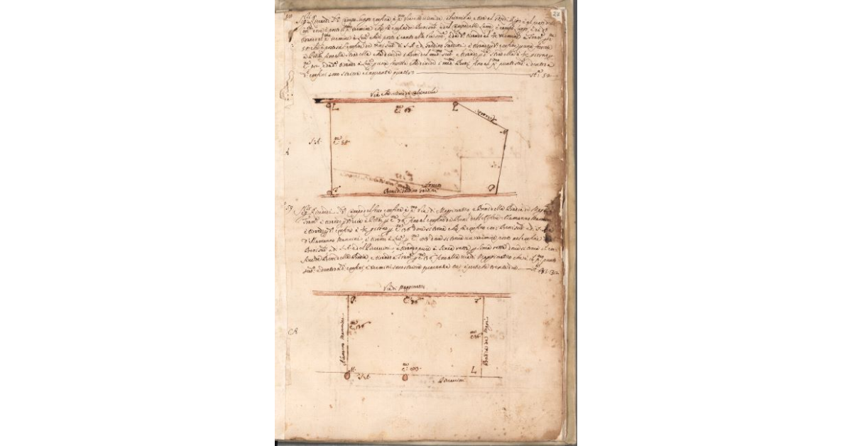 [Piante dei terreni assegnati ai sig.ri Riccardi nel piano di Bibbona]