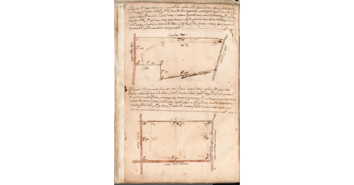 [Piante dei terreni assegnati ai sig.ri Riccardi nel piano di Bibbona]