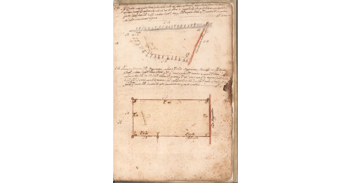 [Piante dei terreni assegnati ai sig.ri Riccardi ed al sig. Alamanno Mannini nel piano di Bibbona]