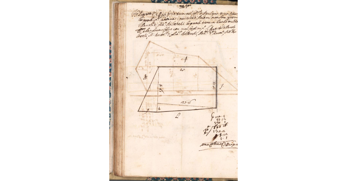 [Piante dei terreni assegnati al sergente Ippolito Federighi nel piano di Bibbona]