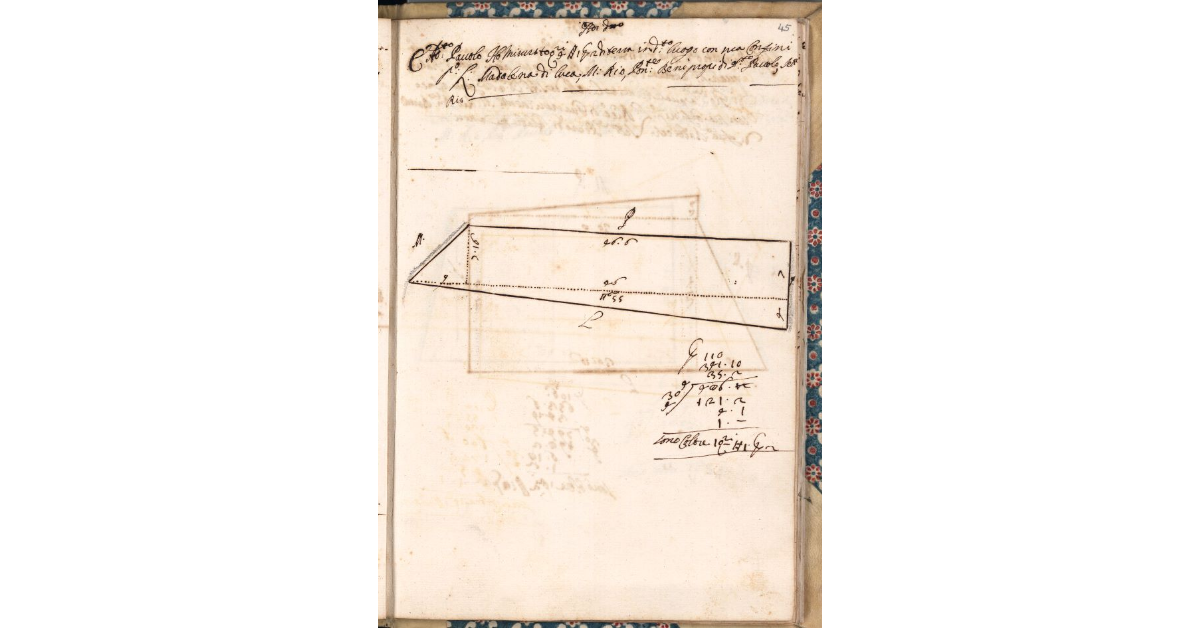 [Piante dei terreni assegnati al sergente Ippolito Federighi nel piano di Bibbona]