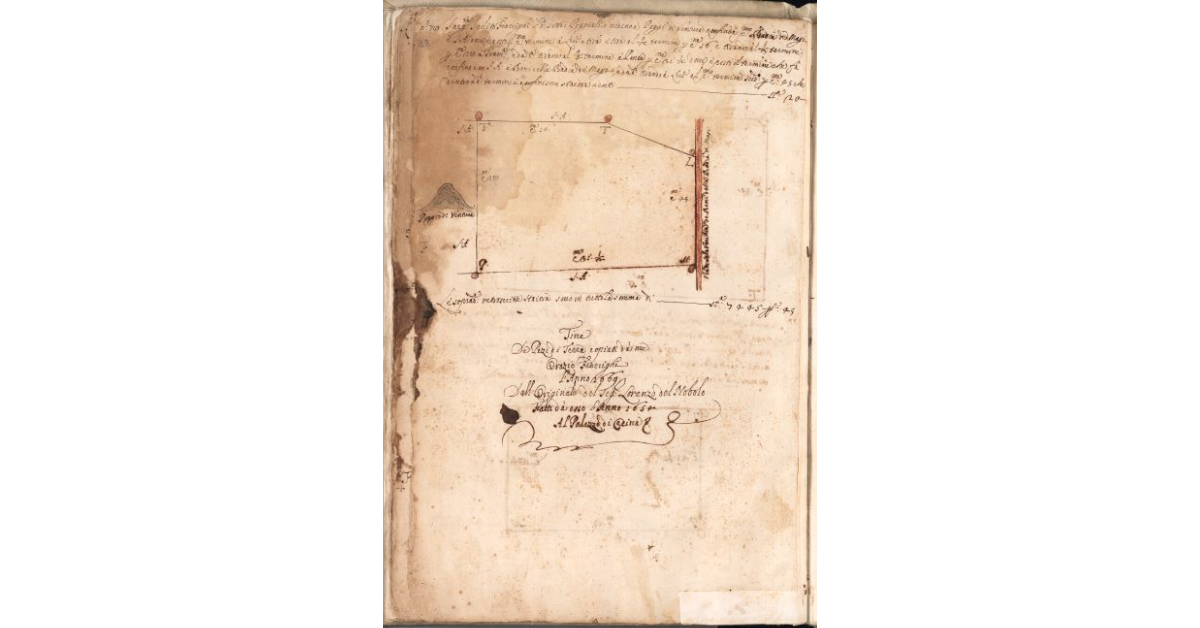 [Pianta del terreno assegnato al sergente Ippolito Federighi nel piano di Bibbona]