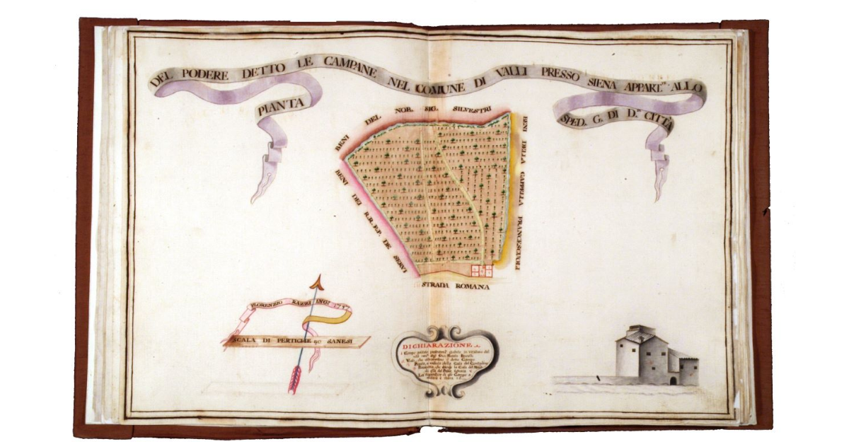Pianta del podere detto le Campane nel comune di Valli presso Siena appartenente allo Spedale Grande di detta città