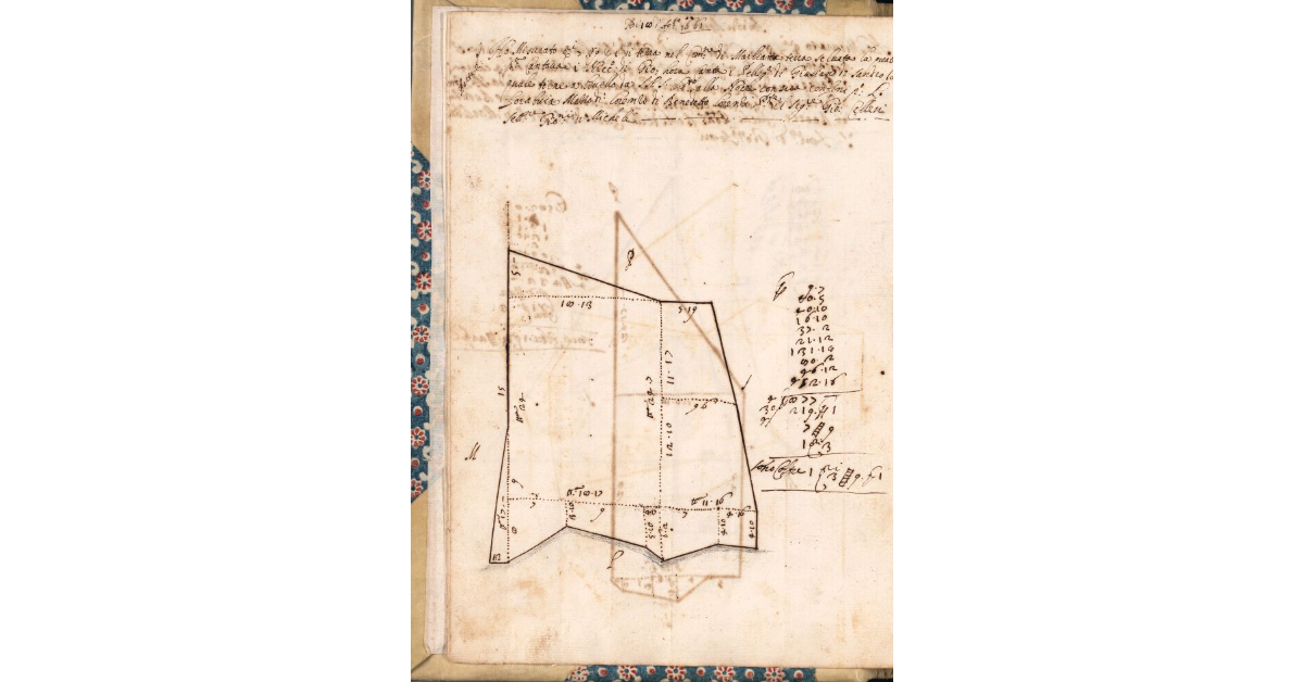 [Appezzamento di terreno tenuto a livello da Pellegrino di Giuliano di Sandro nella comunità di Marliana]