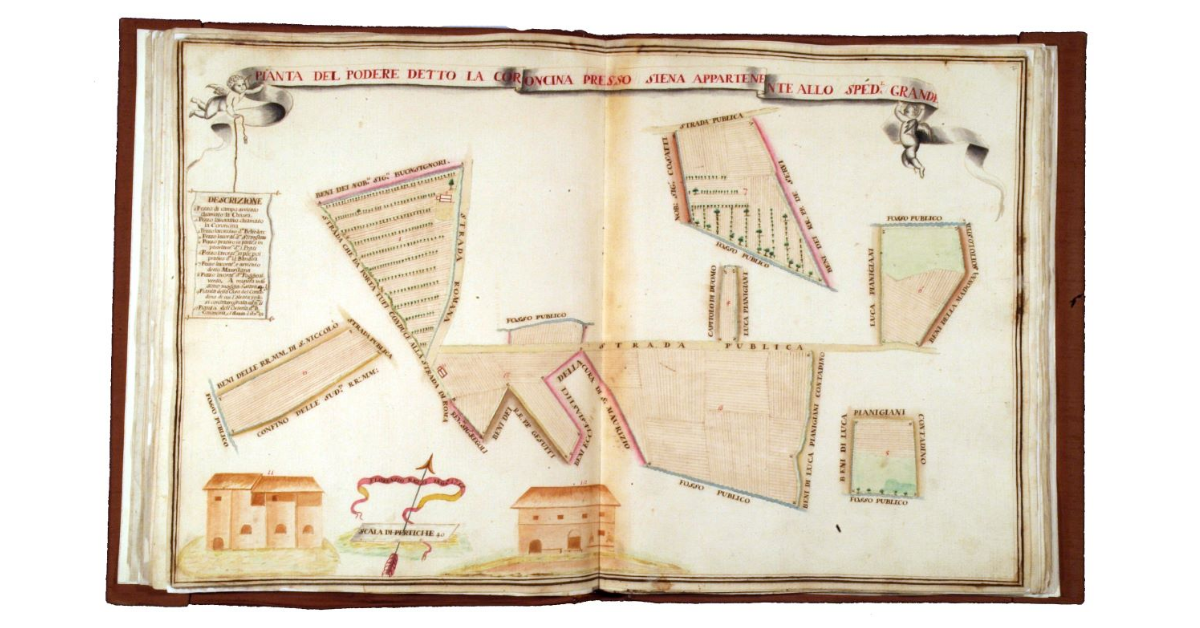 Pianta del podere detto la Coroncina presso Siena appartenente allo Spedale Grande