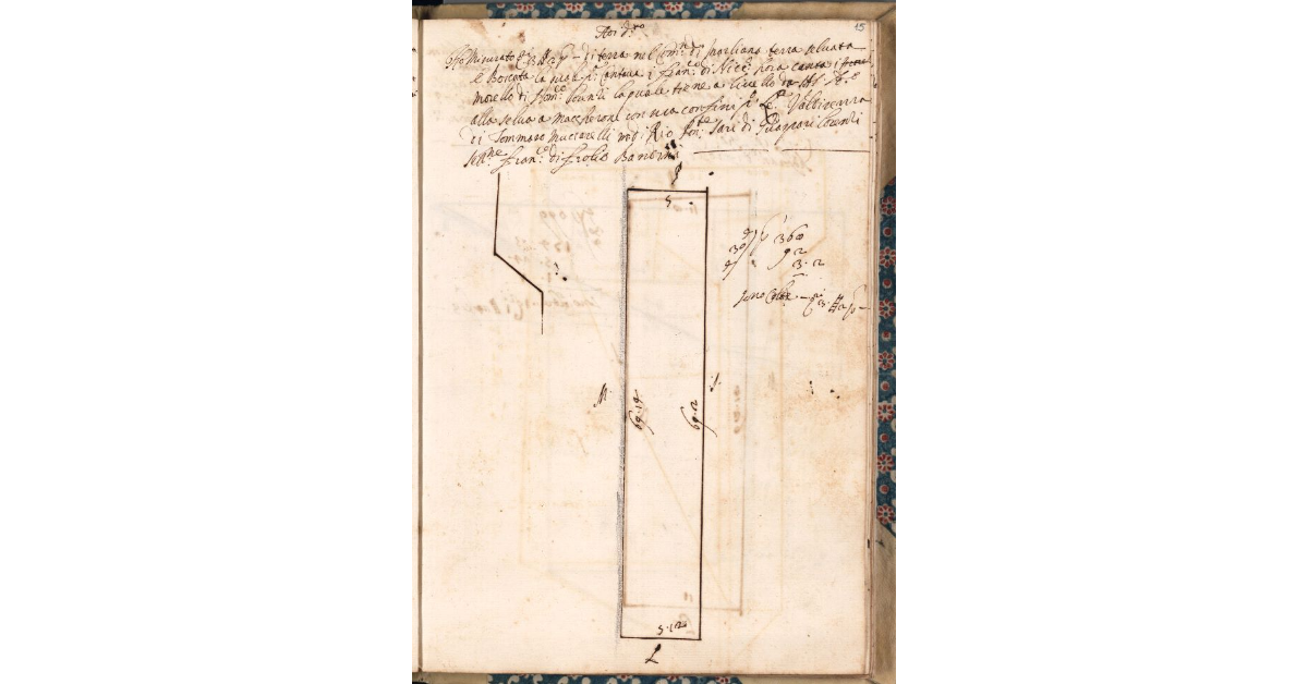 [Appezzamento di terreno tenuto a livello da Morello di Domenico Lorenzi nella comunità di Marliana]