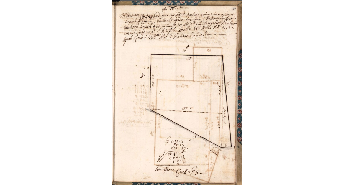[Appezzamento di terreno tenuto a livello da Pellegrino di Roccho Martinelli nella comunità di Marliana]
