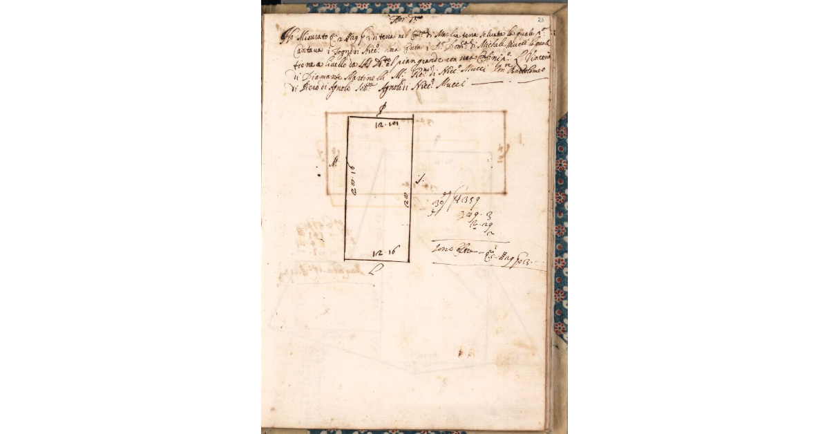[Appezzamento di terreno tenuto a livello da Domenico di Michele Mucci nella comunità di Marliana]