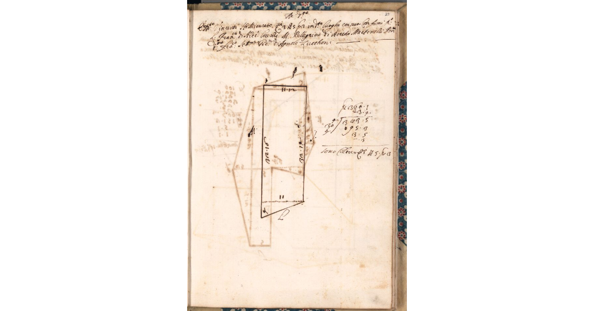[Appezzamento di terreno tenuto a livello da Vincenti di Diamante Martinelli nella comunità di Marliana]
