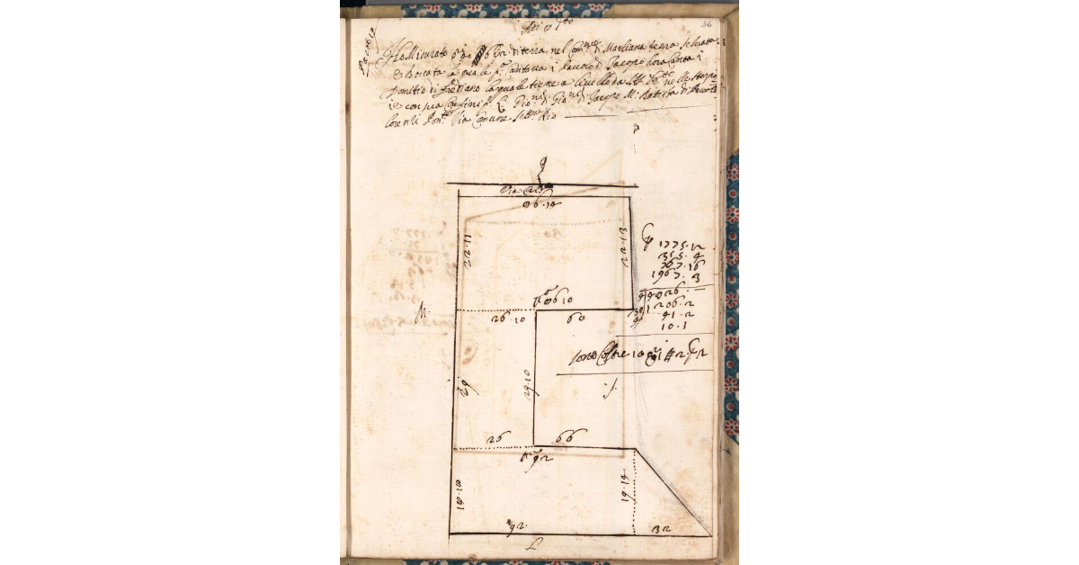 [Appezzamento di terreno tenuto a livello da Domizio di Frediano nella comunità di Marliana]
