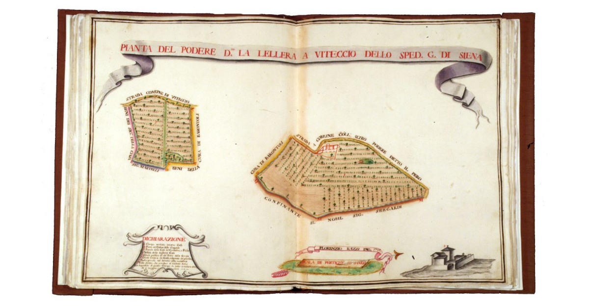 Pianta del podere detto la Lellera a Viteccio dello Spedale Grande di Siena