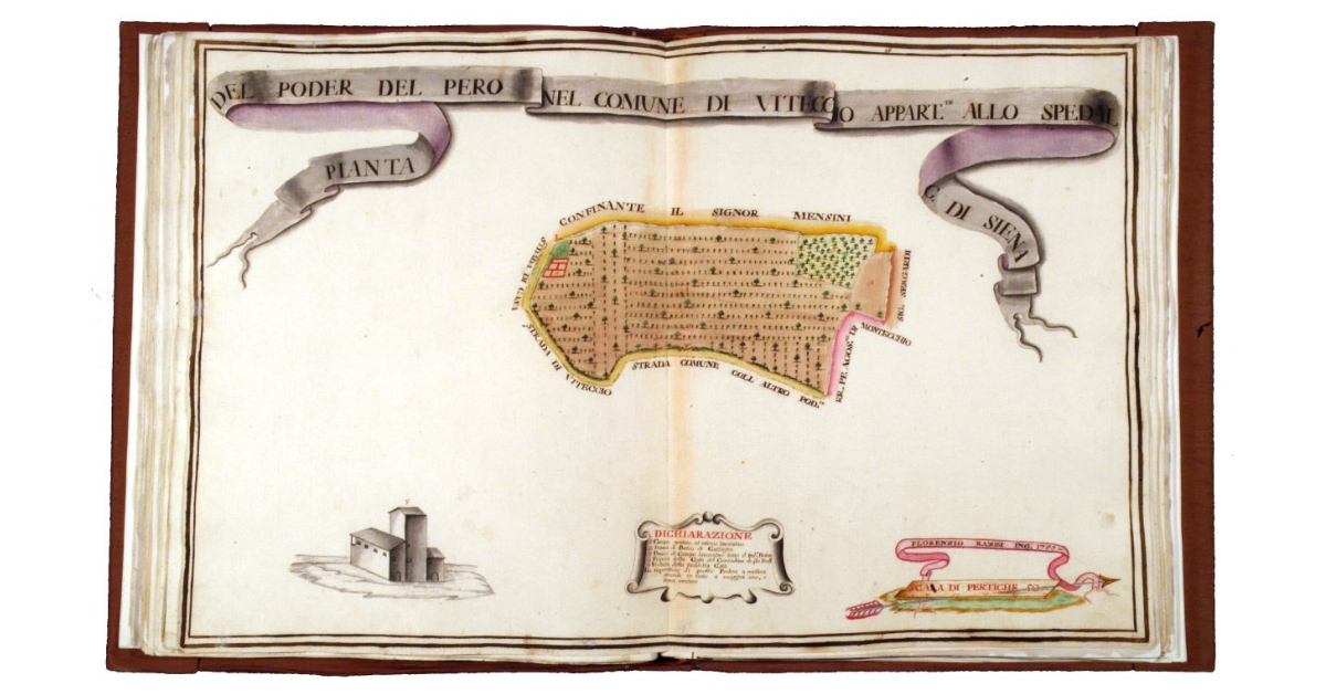 Pianta del podere del Pero nel comune di Viteccio appartenente allo Spedal Grande di Siena