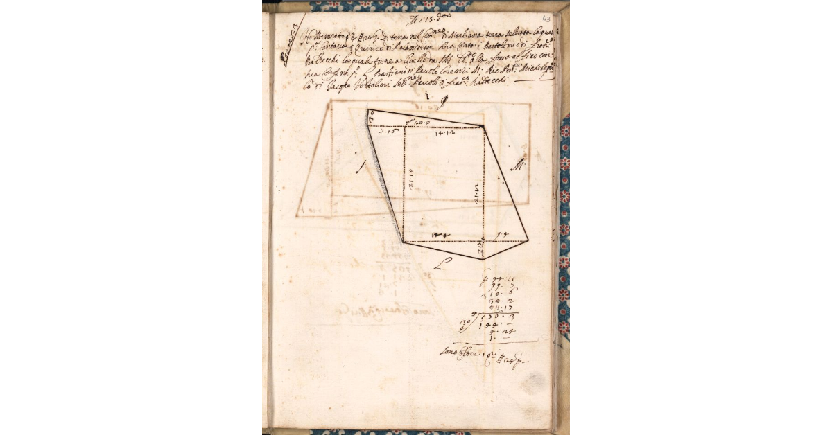 [Appezzamento di terreno tenuto a livello da Bartolomeo di Francesco Baldecchi nella comunità di Marliana]