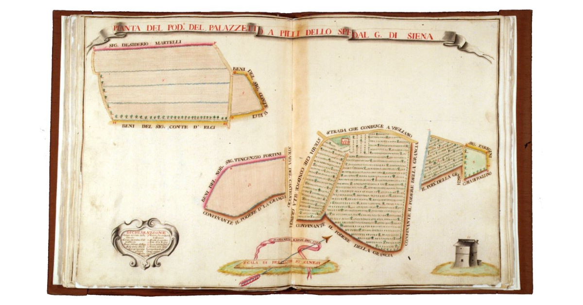 Pianta del podere del Palazzetto a Pilli dello Spedal Grande di Siena