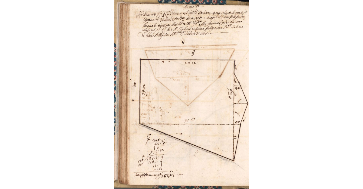 [Appezzamento di terreno tenuto a livello da Biagio di Leone Pellegrini nella comunità di Marliana]