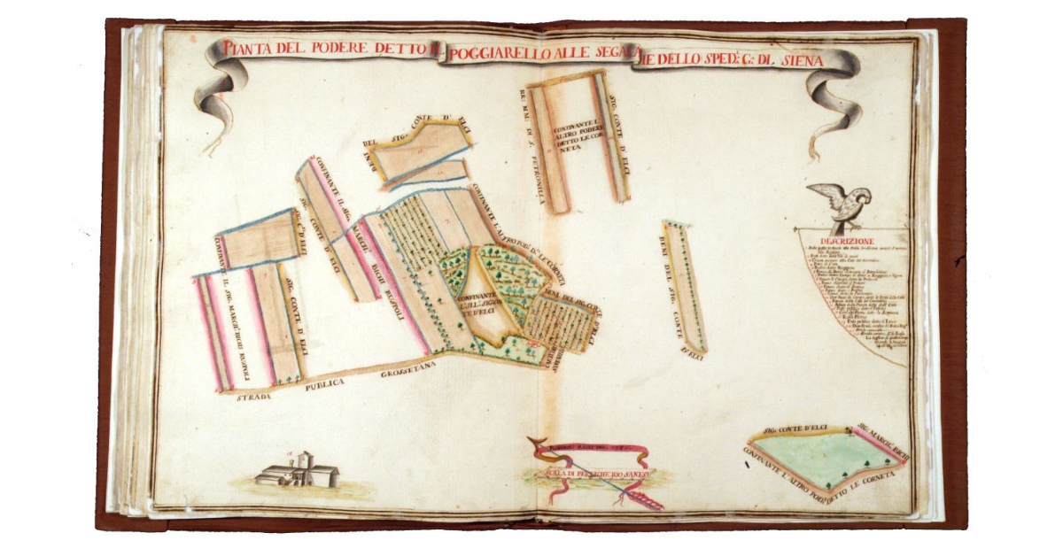 Pianta del podere detto il Poggiarello alle Segalaie dello Spedal Grande di Siena