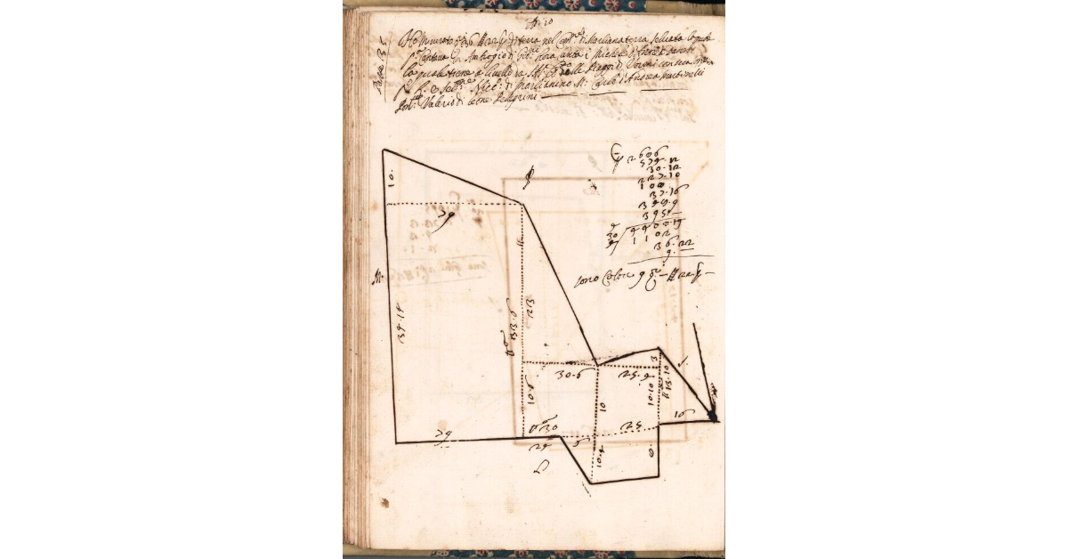 [Appezzamento di terreno tenuto a livello da Michele di Andrea Danesi nella comunità di Marliana]