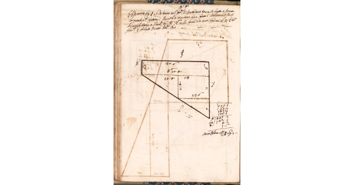 [Appezzamento di terreno tenuto a livello da Pellegrino di Pavolo nella comunità di Marliana]