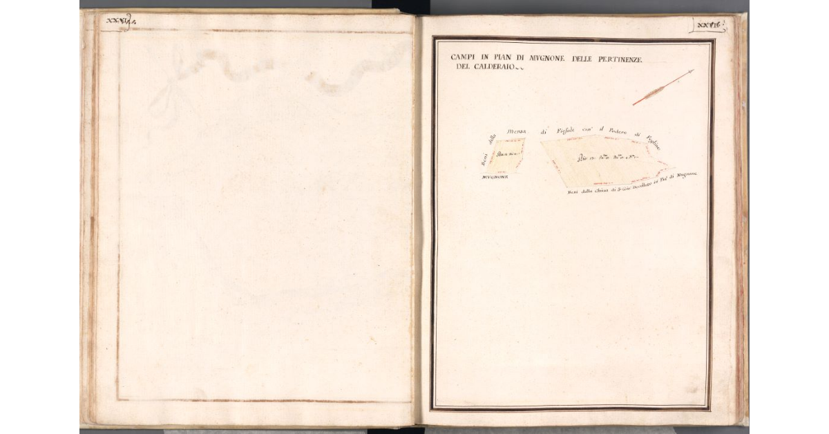 Campi in pian di Mugnone delle pertinenze del Calderaio