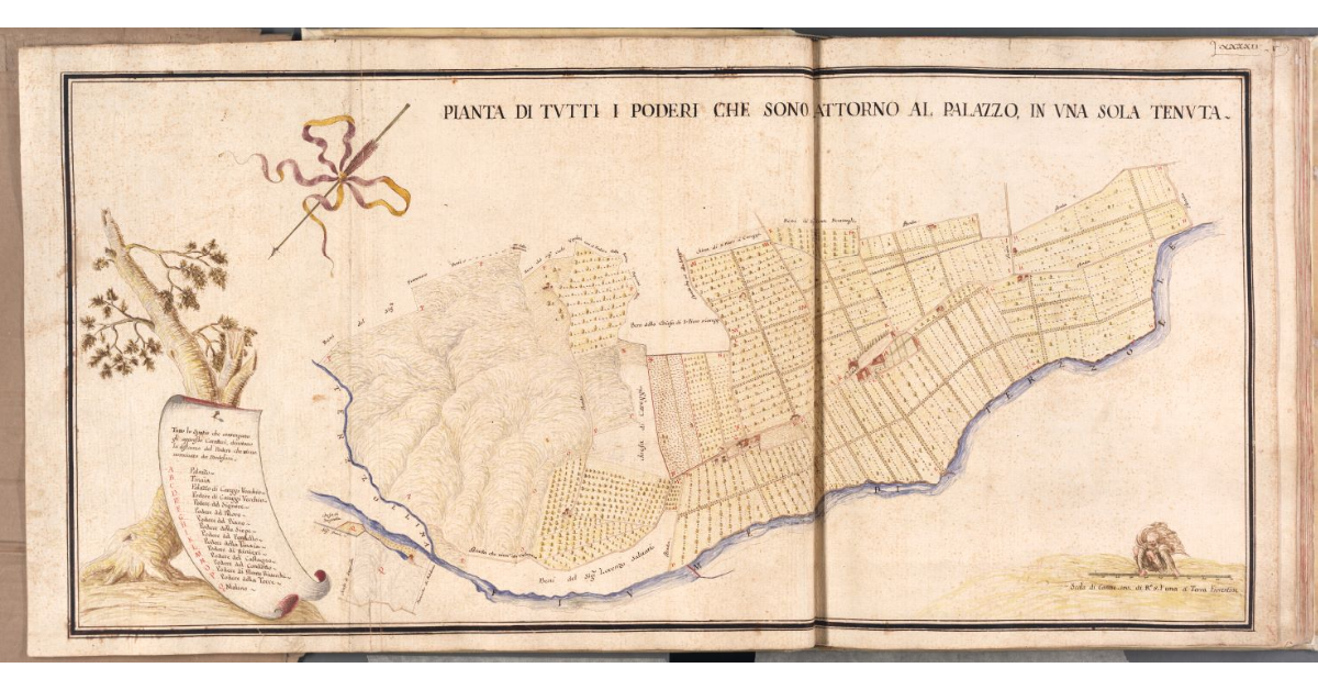 Pianta di tutti i poderi che sono attorno al Palazzo in una sola tenuta